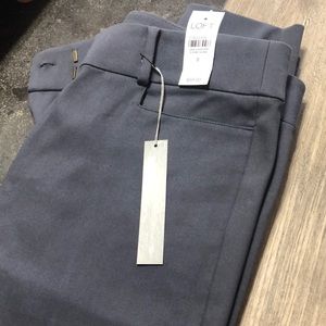 NWT Loft Dress Pants
